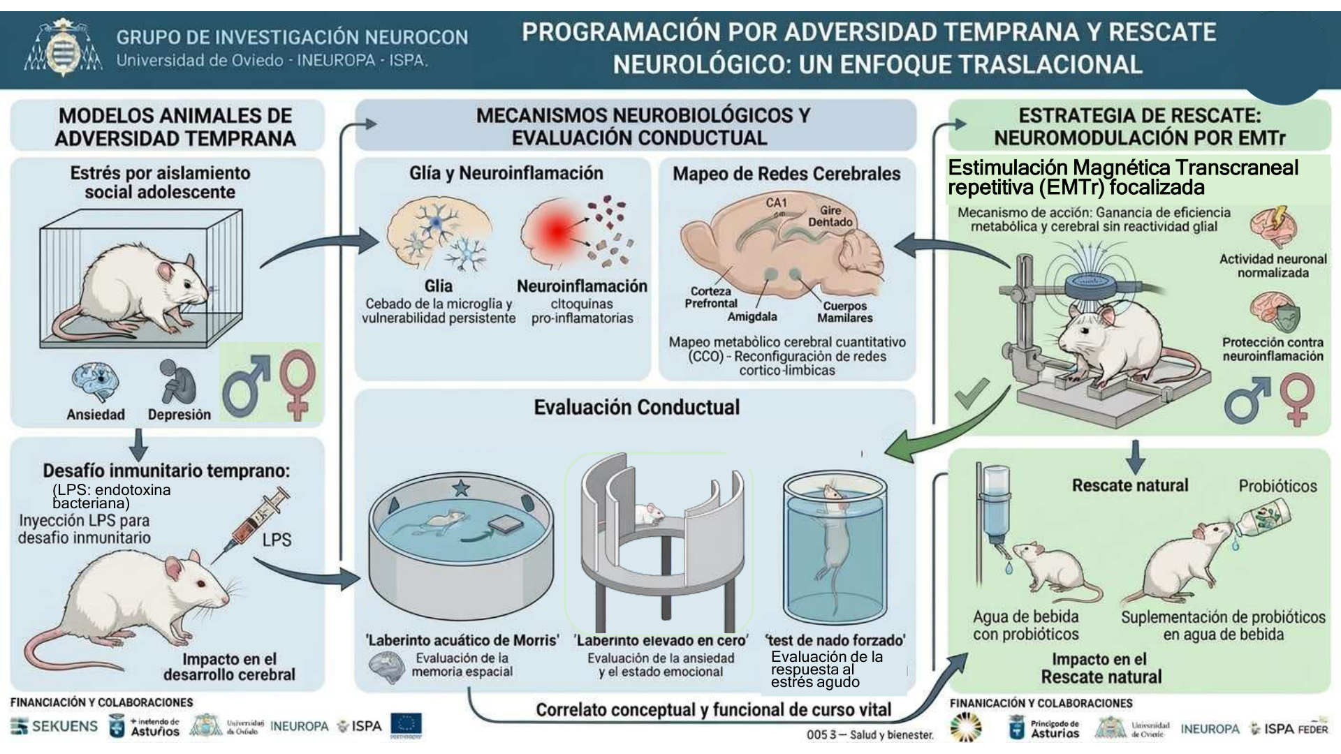 06-neurocon-preclinica