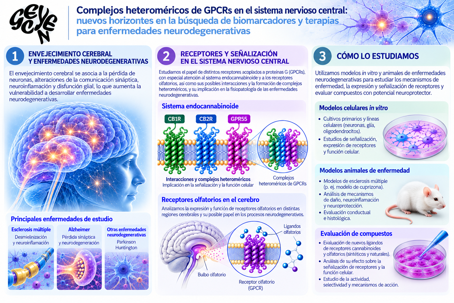 Infografía Proyecto GECYEN