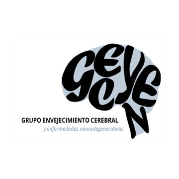 grupo-envejecimiento-cerebral